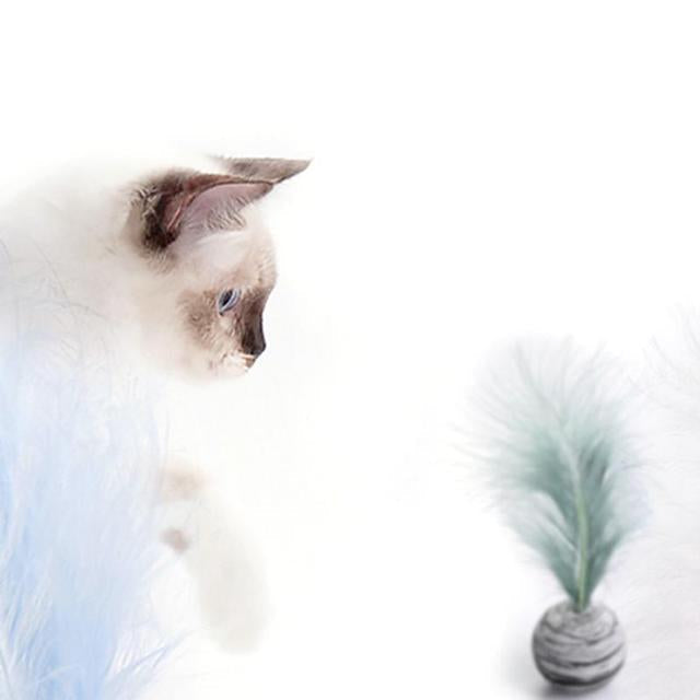 Pet Ball with feather-1